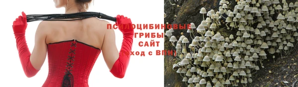 меф Касимов