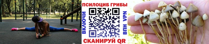 Галлюциногенные грибы ЛСД  Купить  Похвистнево 